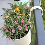 Apartamento Tri Bunje *