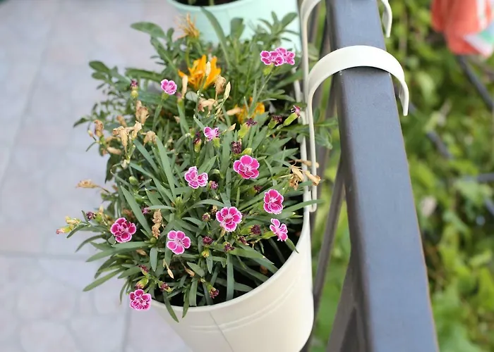 아파트 Tri Bunje *